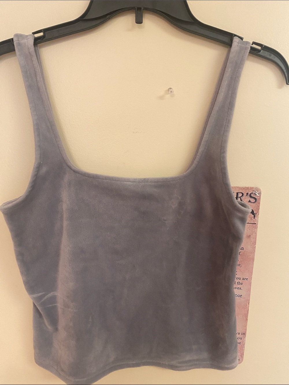 Express Plush Velvet Square Neck Tank in Grey Sz Medium